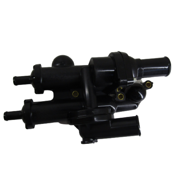 IMG_5664-removebg-preview