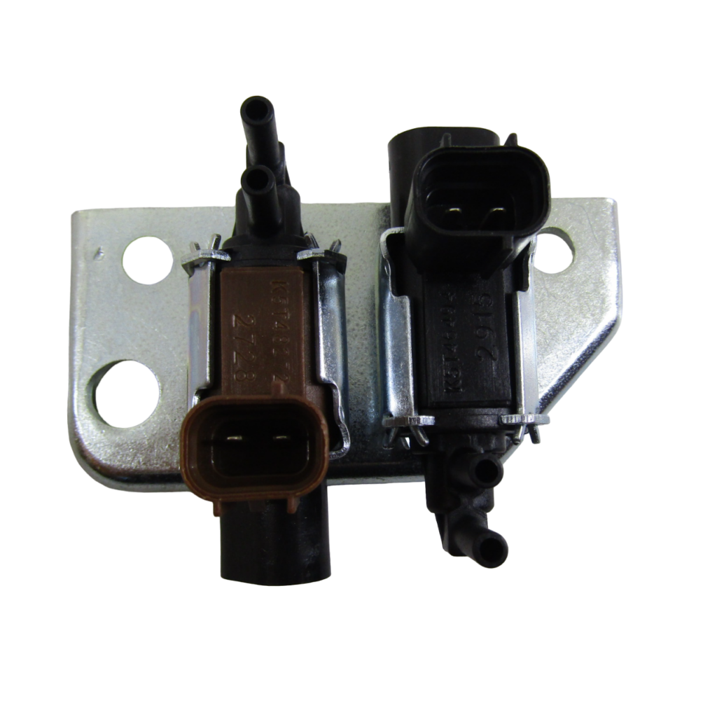 IMG_6552-PhotoRoom.png-PhotoRoom