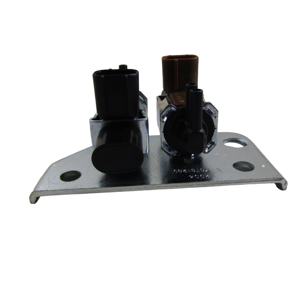 IMG_6555-PhotoRoom.png-PhotoRoom