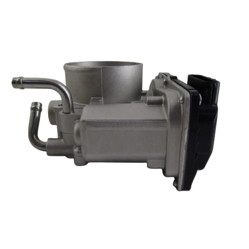 IMG_5418-removebg-preview