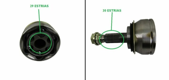 IMG_0924-PhotoRoom.png-PhotoRoom