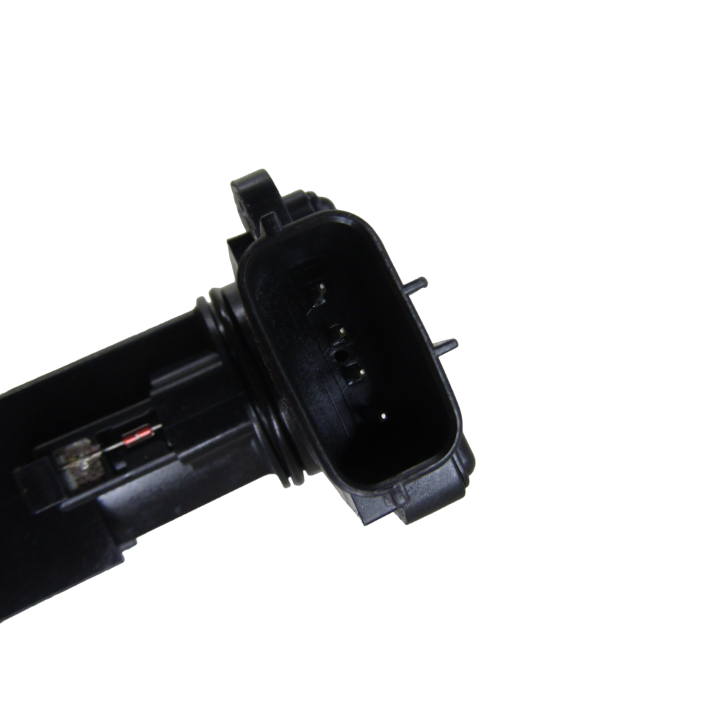 IMG_7289-PhotoRoom.png-PhotoRoom