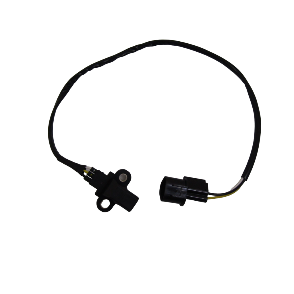 IMG_0239-PhotoRoom.png-PhotoRoom