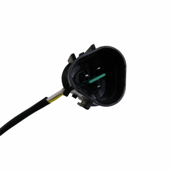 IMG_0242-PhotoRoom.png-PhotoRoom