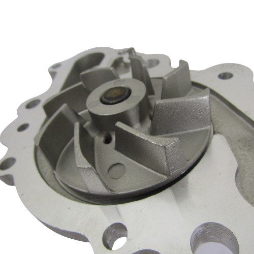 IMG_1450-removebg-preview