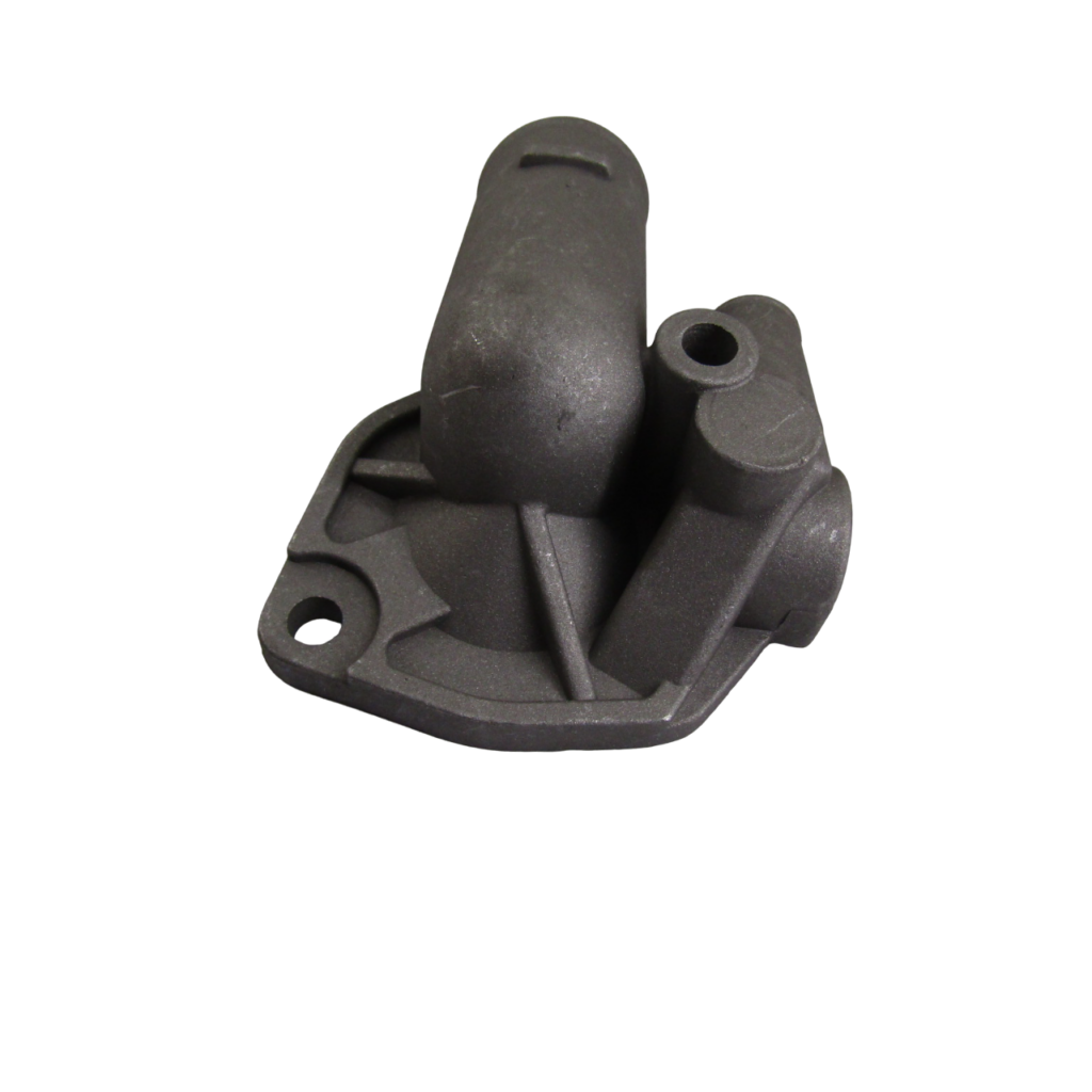 IMG_7681-PhotoRoom.png-PhotoRoom