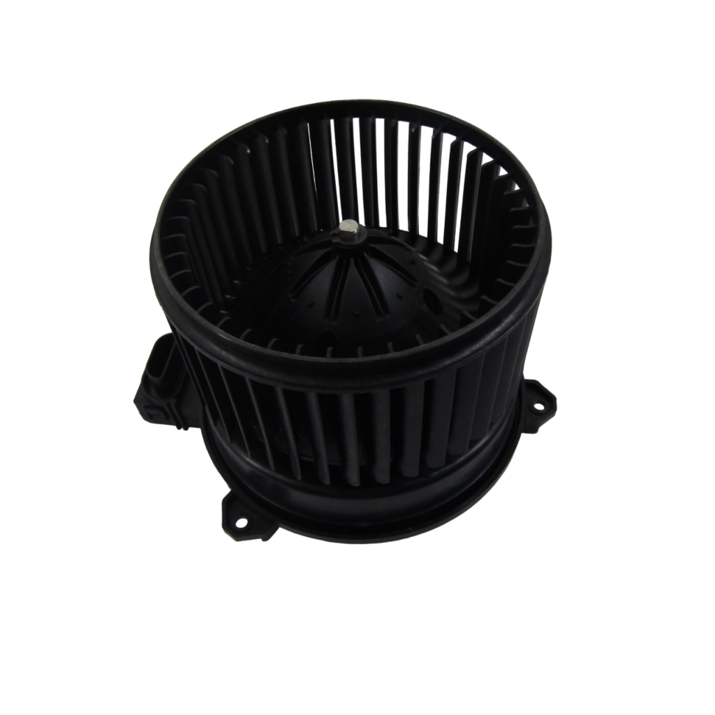 IMG_8243-PhotoRoom.png-PhotoRoom