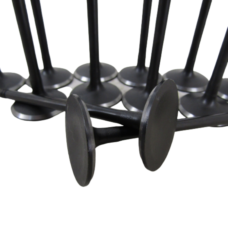 IMG_3033-removebg-preview