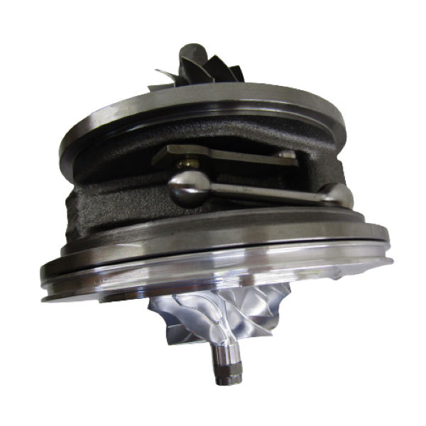 IMG_5812-removebg-preview