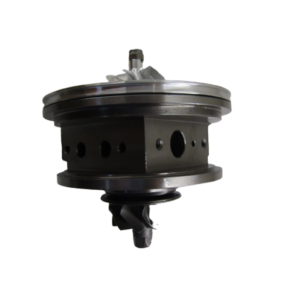 IMG_5818-removebg-preview