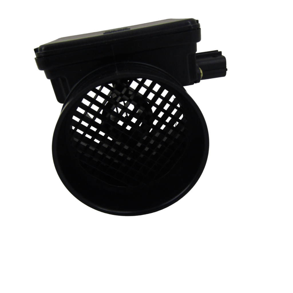 IMG_9011-PhotoRoom.png-PhotoRoom