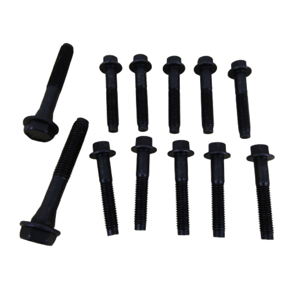 IMG_3493-removebg-preview