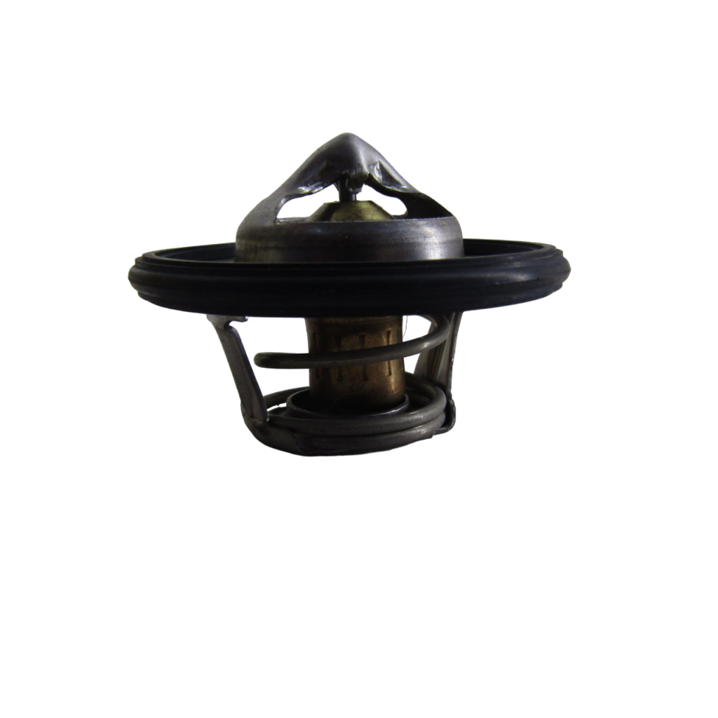 IMG_5909-PhotoRoom.png-PhotoRoom