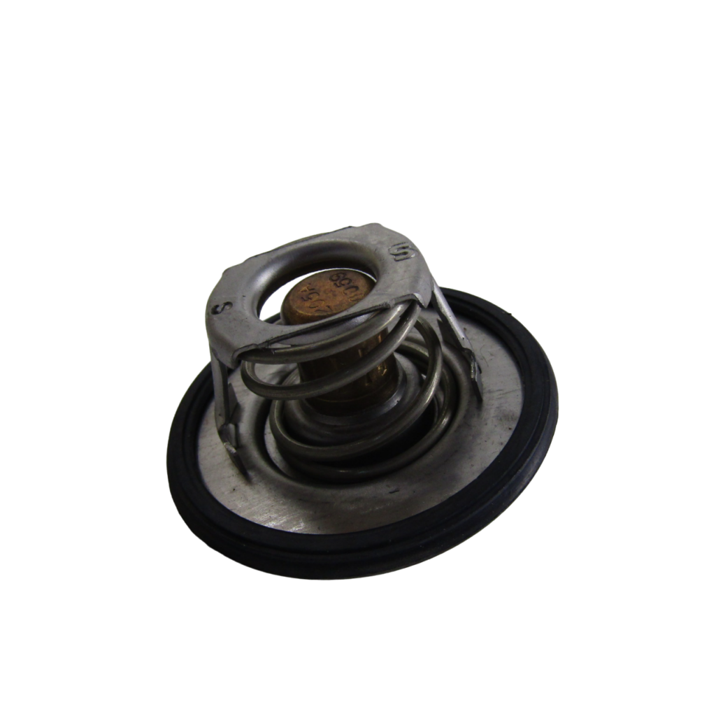 IMG_5911-PhotoRoom.png-PhotoRoom