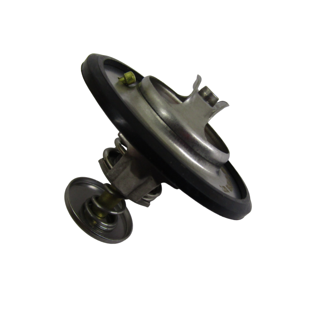 IMG_7472-PhotoRoom.png-PhotoRoom