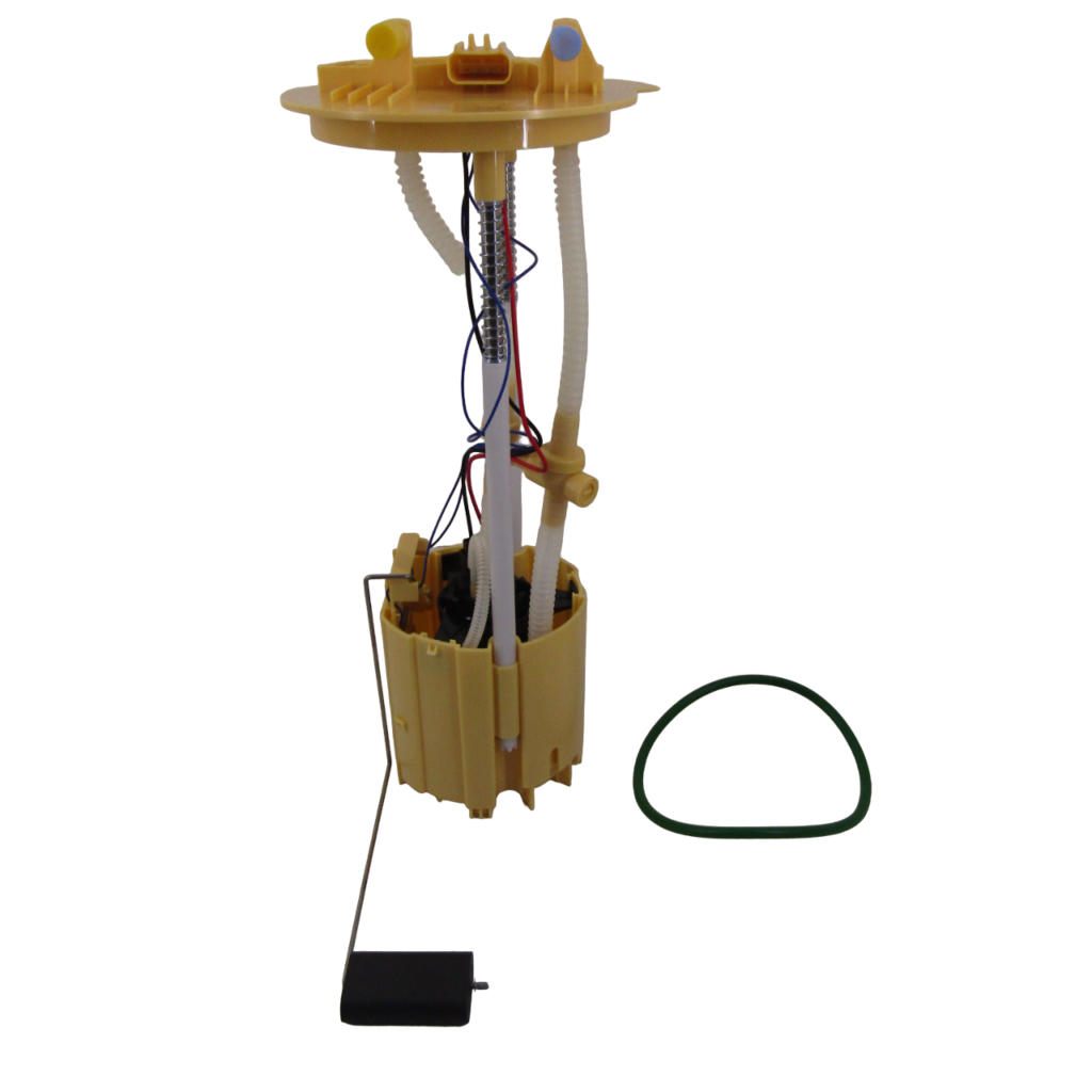 IMG_8504-PhotoRoom.png-PhotoRoom