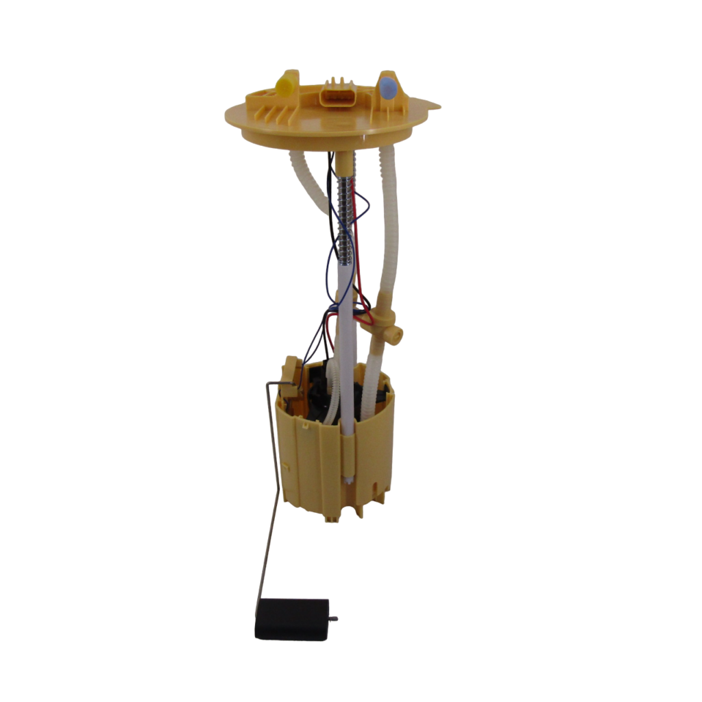 IMG_8505-PhotoRoom.png-PhotoRoom