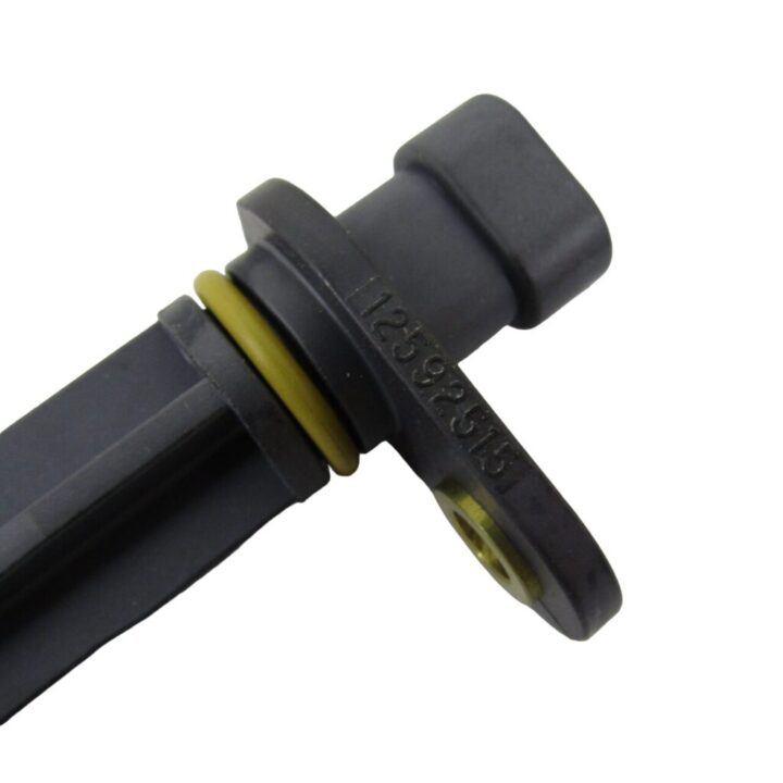 IMG_1045-PhotoRoom.png-PhotoRoom