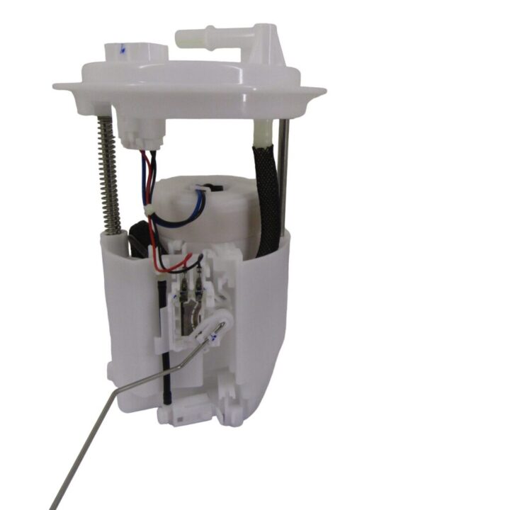 IMG_1337-Photoroom.png-Photoroom