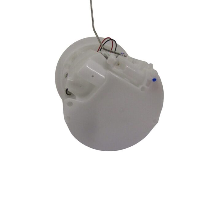 IMG_1339-Photoroom.png-Photoroom