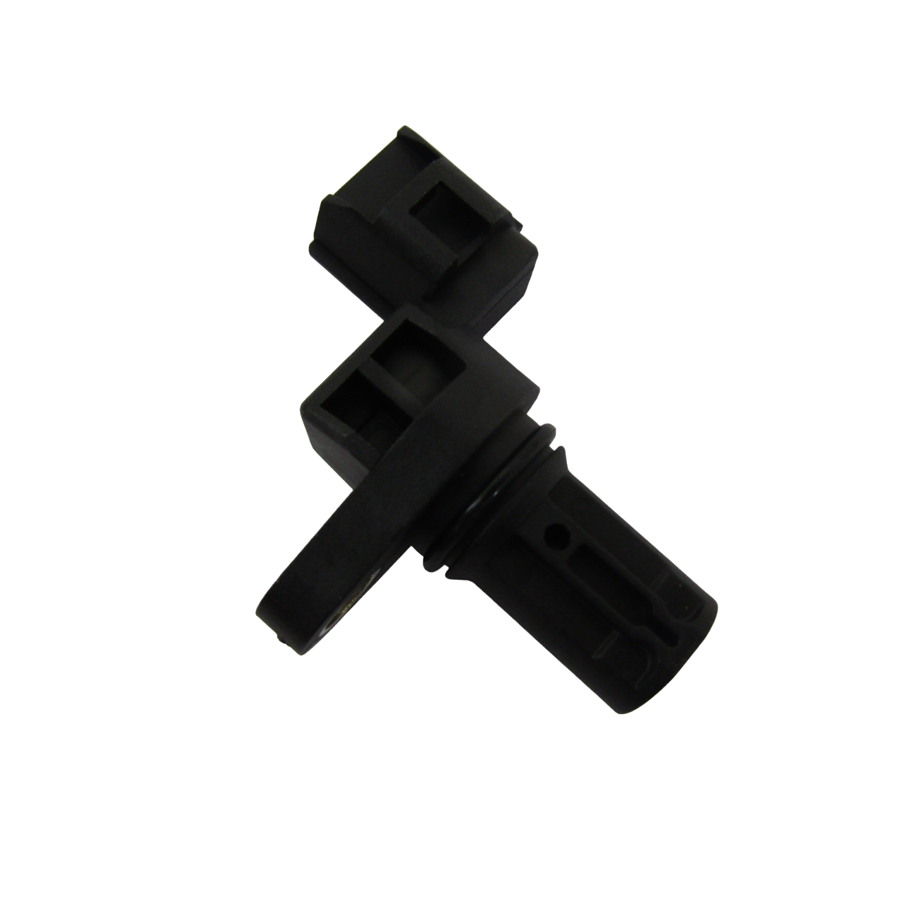 IMG_1785-Photoroom.png-Photoroom