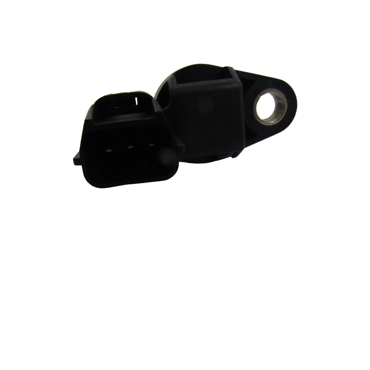 IMG_1787-Photoroom.png-Photoroom