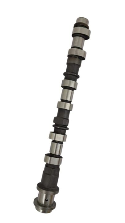 IMG-20251009-WA0134-Photoroom